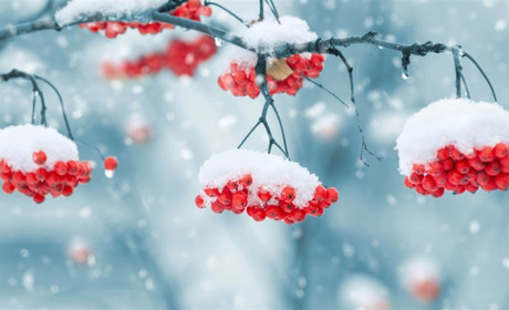 Ожеледиця, хмарність і невеликий сніг - яку погоду прогнозують синоптики Сумщини?