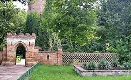 В Асканії вигоріло 94 га степу