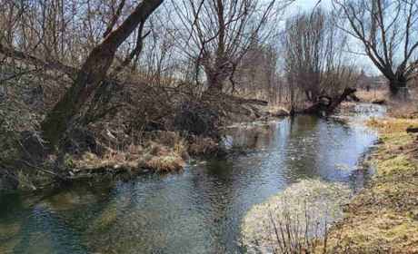 Благовіститься на весну і мир – у ріднім краї, на Чортківщині