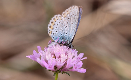 Якою буде погода на Сватівщині з 14 по 20 червня 2021: прогноз на тиждень