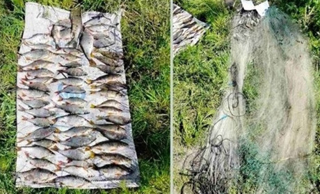 На Менщині бракон'єр наловив риби на 108 тисяч гривень