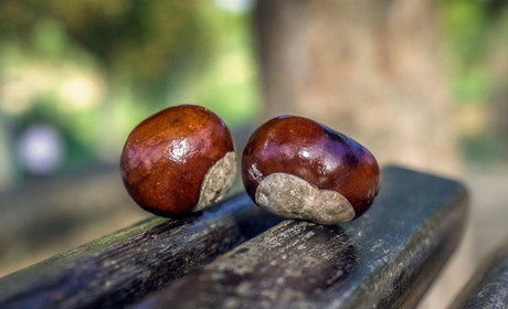 Якою буде погода у Сватовому і районі у останній тиждень серпня і 1 вересня