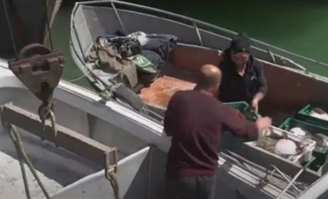 Окупанти грабують рибні ресурси Херсонщини