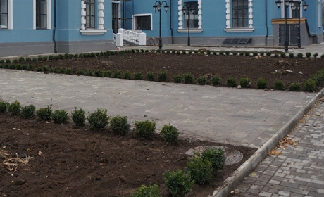 Клены, ели и березы украсят территорию вокруг Дворца культуры железнодорожников