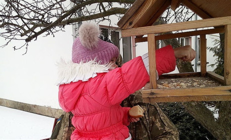 Кременчани можуть долучитися до акції “Нагодуй_птахів-взимку”