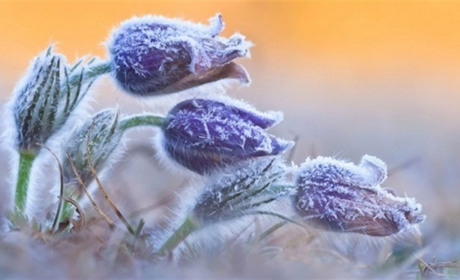 Ніч буде із заморозками. Про погоду в Україні та на Сумщині зокрема...