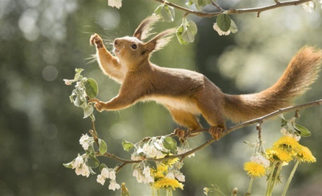 Дощ, гроза і тепло: чого очікувати від погоди жителям Білопільщини на початку тижня