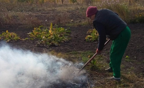 За що оштрафували сімох жителів  Корюківського району
