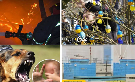 У сусідів: площа з трьох тисяч крашанок, пожежа у лікарні, напад собаки на дитину, добудова ХАЕС