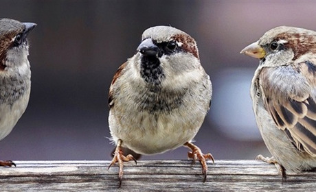 8 подій Старокостянтинова, про які у 2019 говорили всі