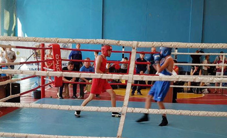 Покровські боксери захищали честь міста на чемпіонаті області 