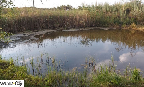 У річку Бик стікають із ґрунтовими водами нечистоти