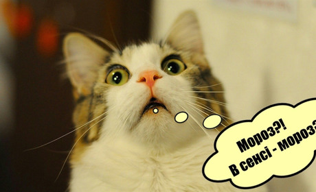 Вже поховали шапки? Чекаємо морозів до п'яти градусів: прогноз погоди