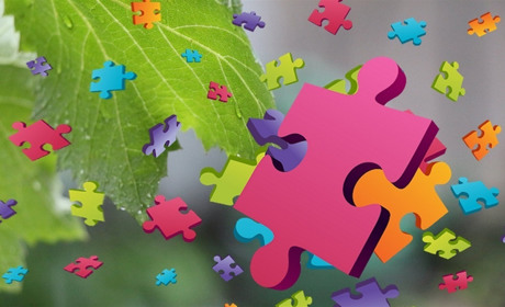 Нові суботні пазли чекають!