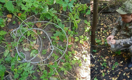 На Білопільщині вилучили браконьєрські знаряддя відлову тварин: яка відповідальність