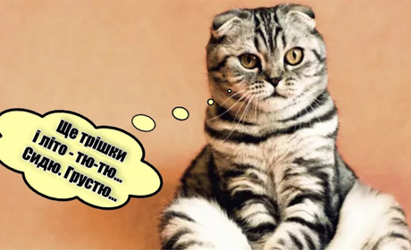 Найближчої ночі на Сумщині прогнозують дощ і грозу: погода на початку наступного тижня