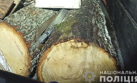 На Сарненщині зупинили вантажівку з незаконною деревиною