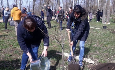 У Кропивницькому з'явились дерева на честь міста-героя Херсона
