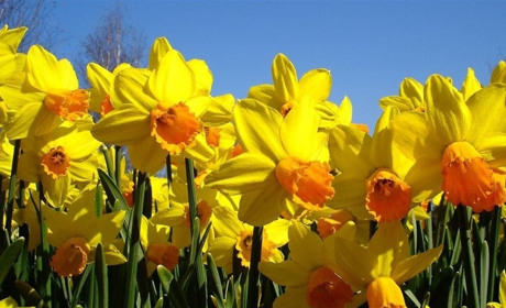 Как провести в Мелитополе и Мелитопольском районе выходные дни 6-7 апреля