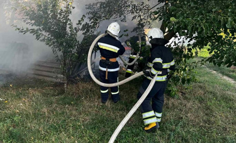 У Городку знову горіло сміття: пожежники локалізували займання на стихійному звалищі
