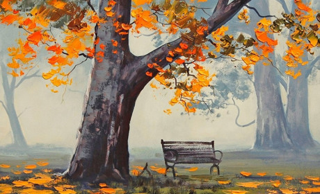 Якою буде погода на початку тижня: прогноз синоптиків Сумського та Українського гідрометцентрів