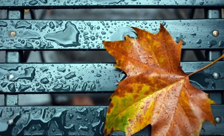 Яку погоду прогнозують синоптики Сумщини та України на початку наступного тижня