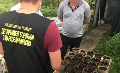 І знову про наркорослини, які вирощують на присадибних ділянках підприємливі мелітопольці