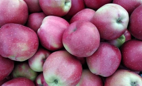 Как провести выходные в Мелитополе и Мелитопольском районе 4-5 ноября