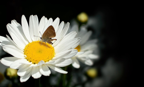 Погода у Старокостянтинові на 7-13 липня: чи послабне спека