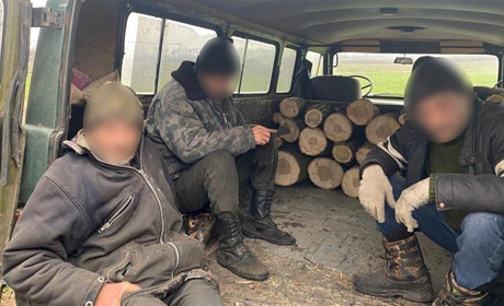 Злочинна група з Красноградщини незаконно вирубувала ліс: збиток для держави понад 1,7 млн грн