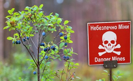 У громадах Сарненського району діє заборона на перебування в лісі: де та чому