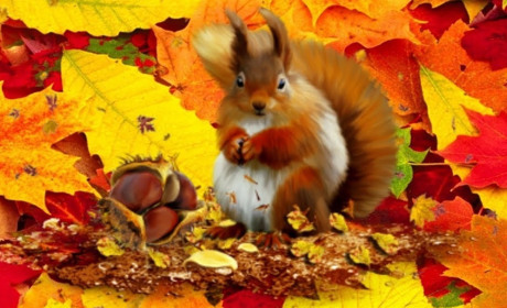 В понеділок на Сумщині дощитиме: що прогнозують синоптики на наступний тиждень