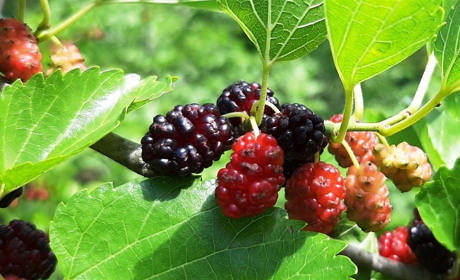 Нові пазли від Мелітополь.Сіty чекають на вас