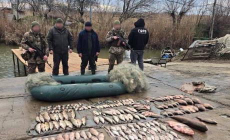 На озері Кагул ізмаїльські прикордонники заскочили громадянина Молдови