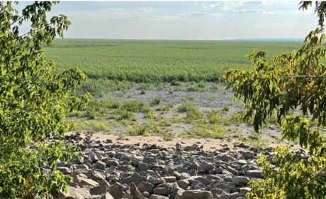 Нова загроза на місці Каховського водосховища: небезпечний гібрид