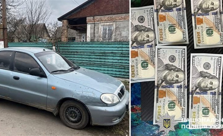 Викрала долари і купила авто: на Старокостянтинівщині оголосили підозру 28-річній жінці