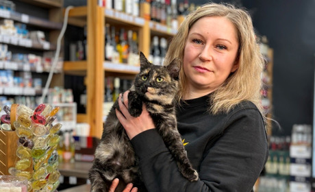 Кішка Мурка: покупців магазину в Глухові зустрічає пухнаста продавчиня