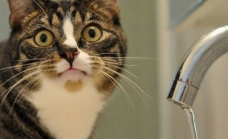 Аварія на водопроводі у Звягелі: кілька вулиць без води – працює аварійна бригада