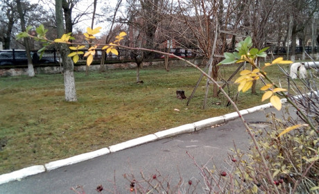 Прийдуть дощі з мокрим снігом