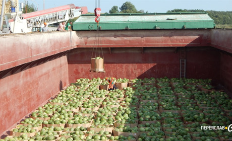 До Переяслава вп’яте припливла баржа з кавунами
