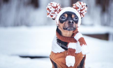 Прогноз погоди: чого чекати на Сумщині та в Україні найближчими днями