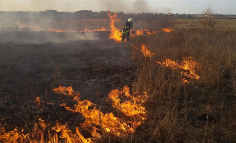 7 серпня в Улянівці горіла суха трава