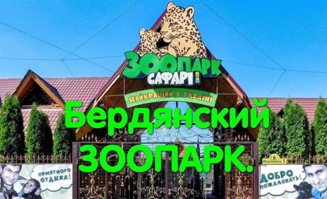 Бердянский зоопарк «Сафари» в ленте новостей