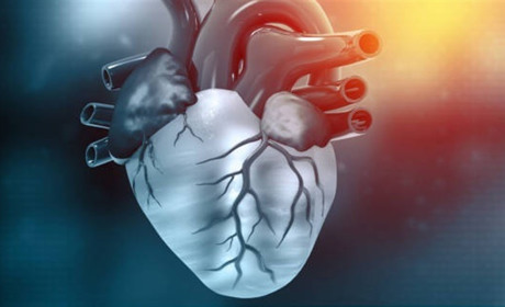 Аюрведические препараты для сердца