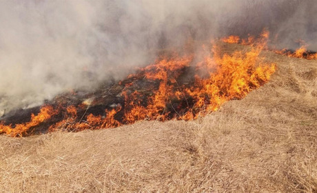 За 9 днів березня у Кам’янському районі сталося 15 пожеж: деталі