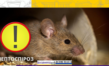 У Вараській громаді зафіксовано випадок небезпечної інфекції – лептоспірозу