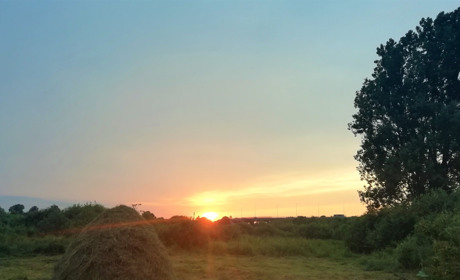 Сонце та спека повертаються: яким буде погодний тиждень на Сарненщин