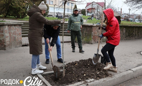 У Городку висадили 10 дерев у межах проєкту «Кращий догляд для кожної дитини»