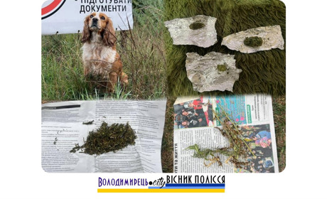 "Дора" знайшла цікаву знахідку в одному з приватних домоволодінь у Вараському районі