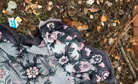 «Мучилася у конвульсіях на очах у дітей». Небайдужі конотопці врятували від отруєння бездомну собаку